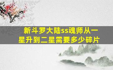 新斗罗大陆ss魂师从一星升到二星需要多少碎片