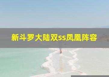 新斗罗大陆双ss凤凰阵容