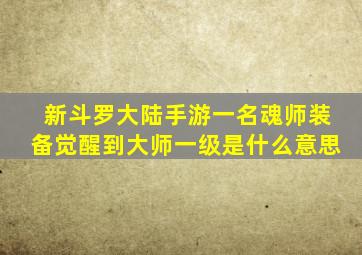 新斗罗大陆手游一名魂师装备觉醒到大师一级是什么意思