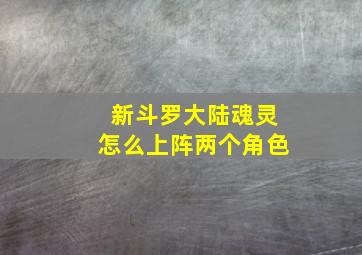 新斗罗大陆魂灵怎么上阵两个角色