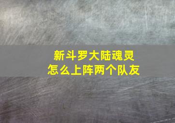 新斗罗大陆魂灵怎么上阵两个队友