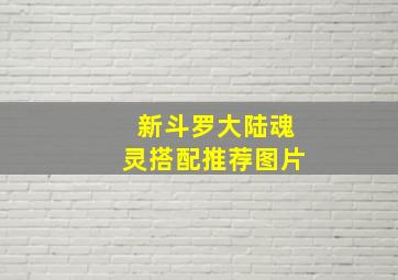 新斗罗大陆魂灵搭配推荐图片