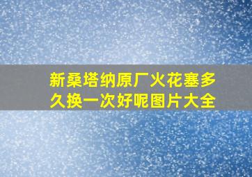 新桑塔纳原厂火花塞多久换一次好呢图片大全