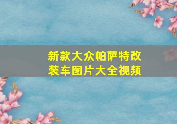 新款大众帕萨特改装车图片大全视频