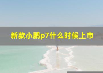 新款小鹏p7什么时候上市