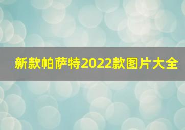 新款帕萨特2022款图片大全