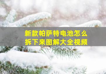 新款帕萨特电池怎么拆下来图解大全视频