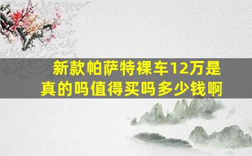 新款帕萨特裸车12万是真的吗值得买吗多少钱啊