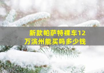 新款帕萨特裸车12万滨州能买吗多少钱