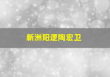 新洲阳逻陶宏卫