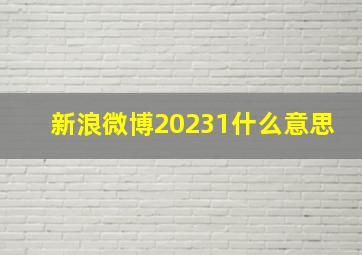 新浪微博20231什么意思