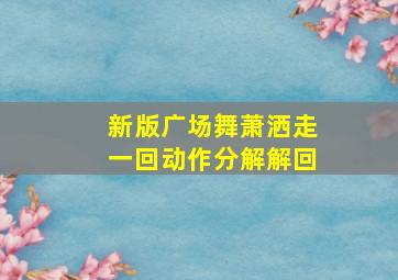 新版广场舞萧洒走一回动作分解解回