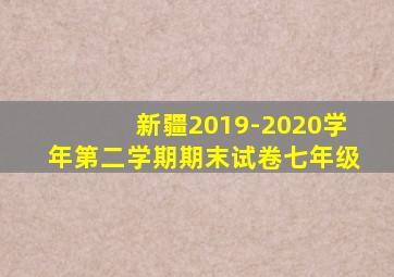 新疆2019-2020学年第二学期期末试卷七年级