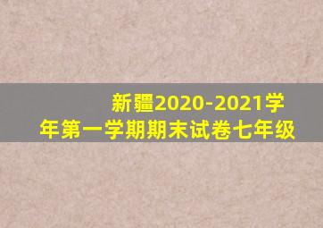 新疆2020-2021学年第一学期期末试卷七年级