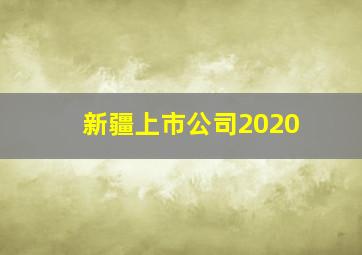 新疆上市公司2020