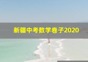 新疆中考数学卷子2020