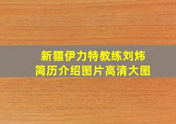 新疆伊力特教练刘炜简历介绍图片高清大图