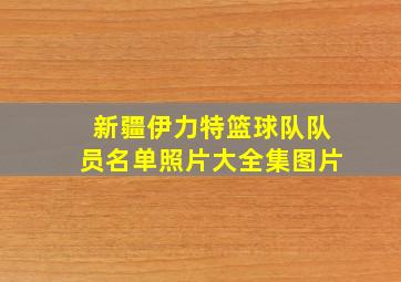 新疆伊力特篮球队队员名单照片大全集图片