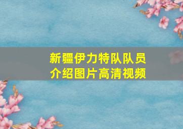 新疆伊力特队队员介绍图片高清视频