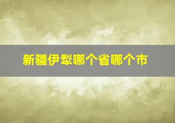 新疆伊犁哪个省哪个市