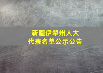 新疆伊犁州人大代表名单公示公告