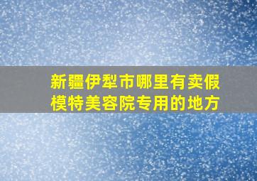 新疆伊犁市哪里有卖假模特美容院专用的地方