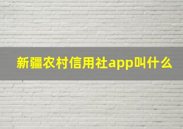 新疆农村信用社app叫什么