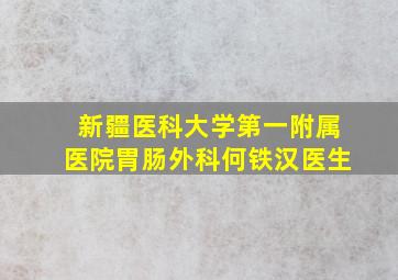 新疆医科大学第一附属医院胃肠外科何铁汉医生