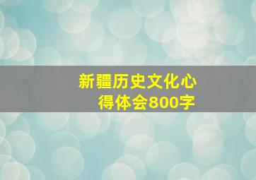 新疆历史文化心得体会800字