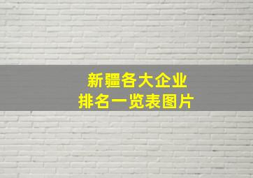 新疆各大企业排名一览表图片