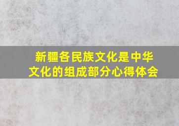 新疆各民族文化是中华文化的组成部分心得体会