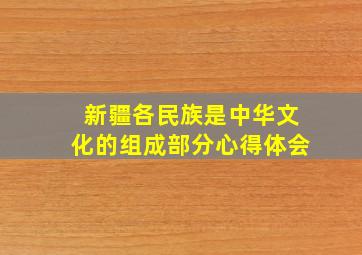 新疆各民族是中华文化的组成部分心得体会