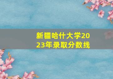 新疆哈什大学2023年录取分数线