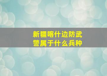 新疆喀什边防武警属于什么兵种