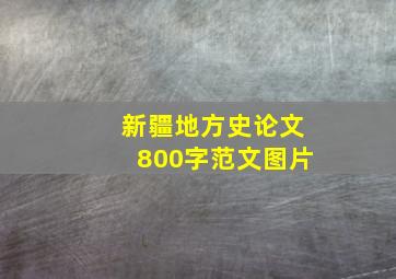 新疆地方史论文800字范文图片