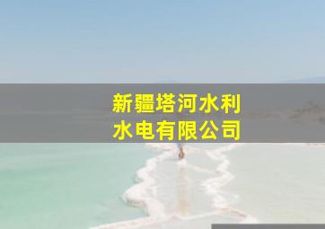 新疆塔河水利水电有限公司