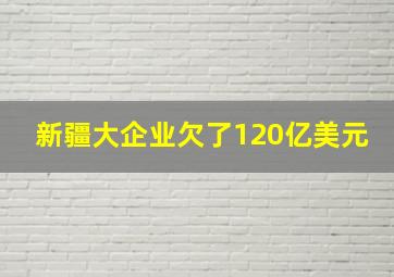 新疆大企业欠了120亿美元