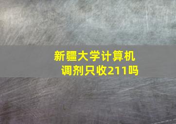 新疆大学计算机调剂只收211吗