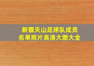 新疆天山足球队成员名单照片高清大图大全