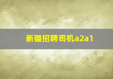 新疆招聘司机a2a1