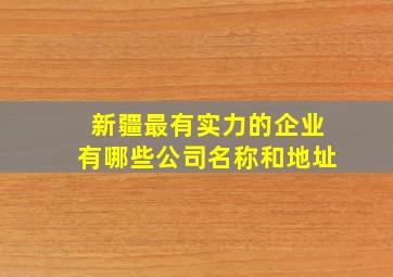 新疆最有实力的企业有哪些公司名称和地址