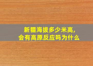 新疆海拔多少米高,会有高原反应吗为什么