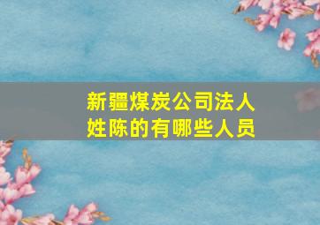 新疆煤炭公司法人姓陈的有哪些人员