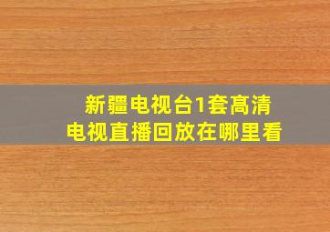 新疆电视台1套髙清电视直播回放在哪里看