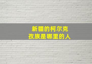 新疆的柯尔克孜族是哪里的人