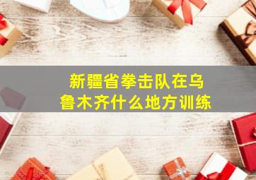 新疆省拳击队在乌鲁木齐什么地方训练