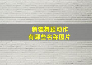 新疆舞蹈动作有哪些名称图片