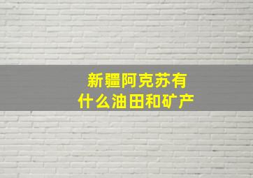 新疆阿克苏有什么油田和矿产