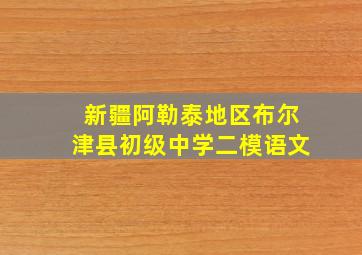 新疆阿勒泰地区布尔津县初级中学二模语文