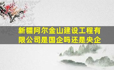 新疆阿尔金山建设工程有限公司是国企吗还是央企